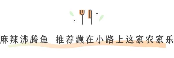 DƬ